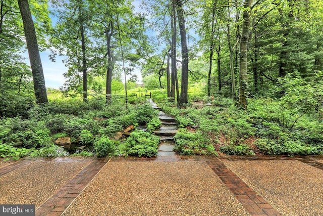 154 Deer Hill Rd, Reading, PA 19607 - view of yard featuring stairs
