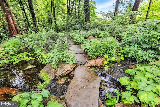 154 Deer Hill Rd, Reading, PA 19607 - view of undeveloped land