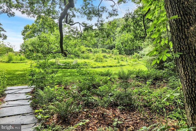154 Deer Hill Rd, Reading, PA 19607 - view of nature
