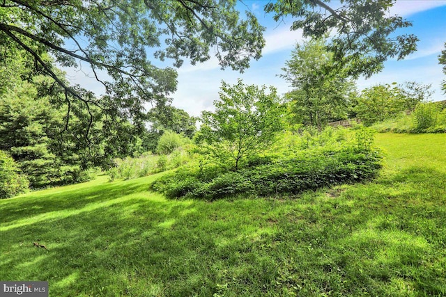 154 Deer Hill Rd, Reading, PA 19607 - view of green lawn