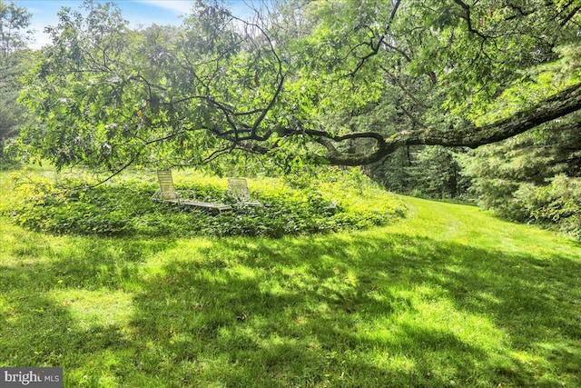 154 Deer Hill Rd, Reading, PA 19607 - view of yard