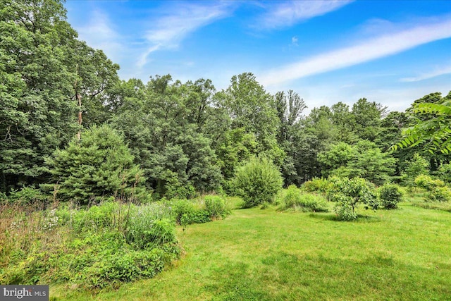 154 Deer Hill Rd, Reading, PA 19607 - view of green lawn with a view of trees