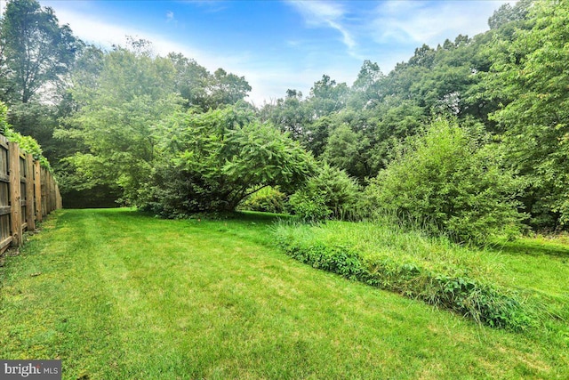 154 Deer Hill Rd, Reading, PA 19607 - view of yard