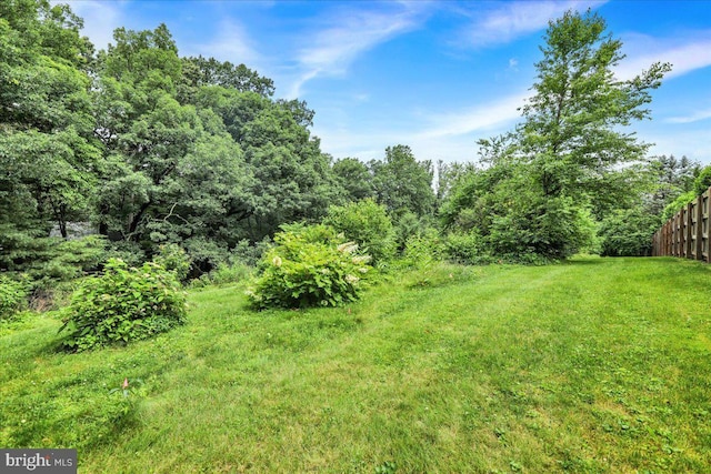 154 Deer Hill Rd, Reading, PA 19607 - view of yard