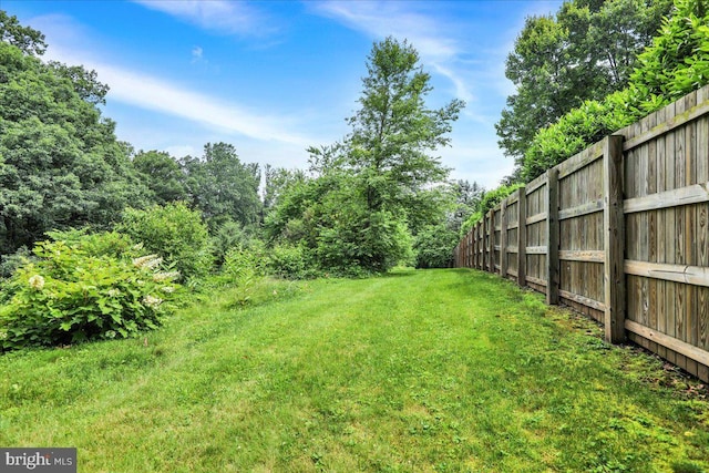 154 Deer Hill Rd, Reading, PA 19607 - view of yard