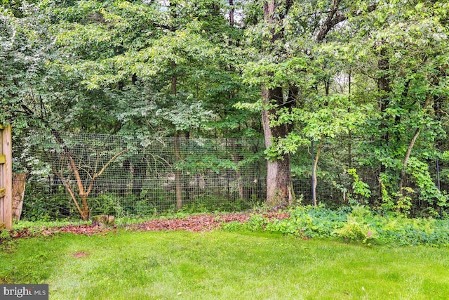 154 Deer Hill Rd, Reading, PA 19607 - view of grassy yard