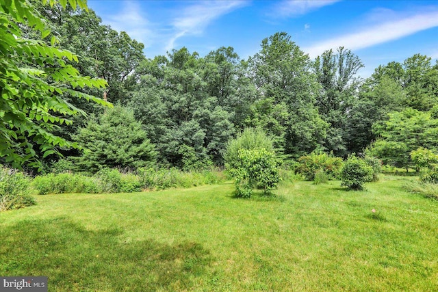 154 Deer Hill Rd, Reading, PA 19607 - view of green lawn