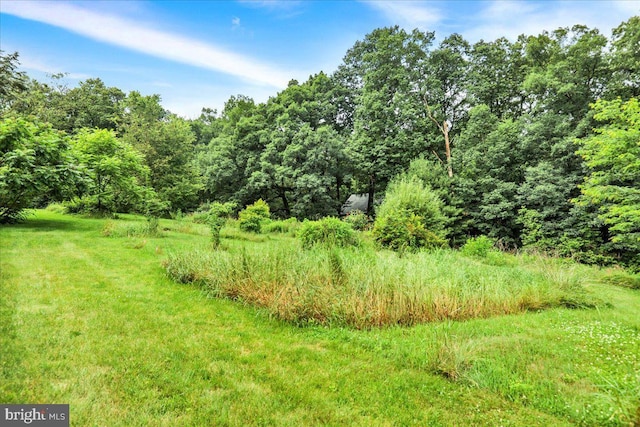 154 Deer Hill Rd, Reading, PA 19607 - view of tree filled area