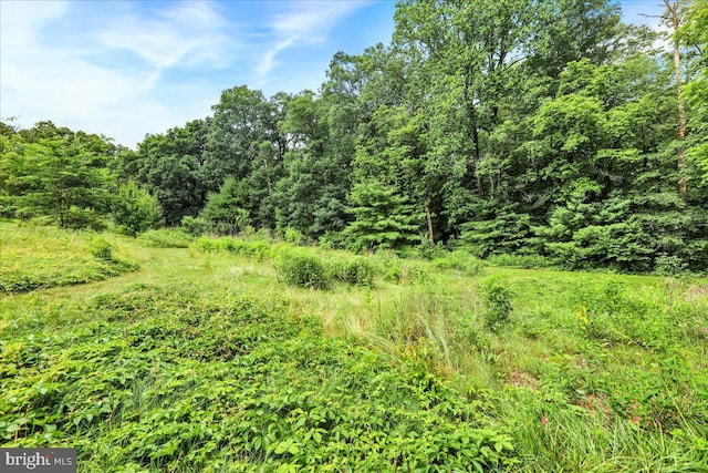 154 Deer Hill Rd, Reading, PA 19607 - view of woods