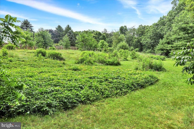 154 Deer Hill Rd, Reading, PA 19607 - view of nature