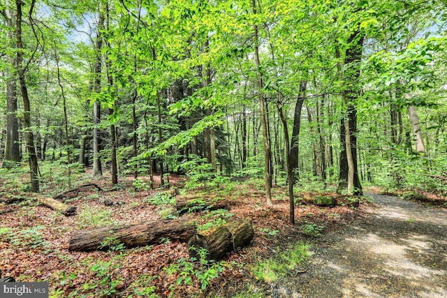 154 Deer Hill Rd, Reading, PA 19607 - view of wooded area