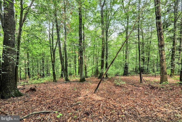 154 Deer Hill Rd, Reading, PA 19607 - view of woods