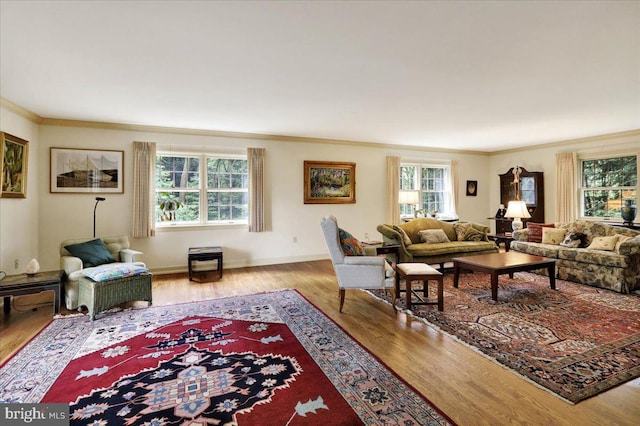 154 Deer Hill Rd, Reading, PA 19607 - living room with ornamental molding and wood finished floors