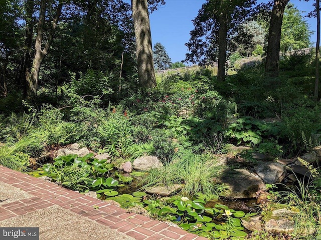 154 Deer Hill Rd, Reading, PA 19607 - view of local wilderness