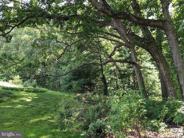 154 Deer Hill Rd, Reading, PA 19607 - view of woods