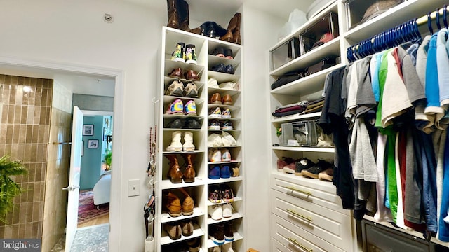 715 6th St NW Unit 1002, Washington, DC 20001 - view of walk in closet