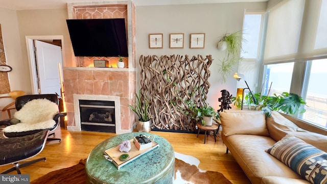 715 6th St NW Unit 1002, Washington, DC 20001 - living room featuring plenty of natural light, wood finished floors, and a fireplace