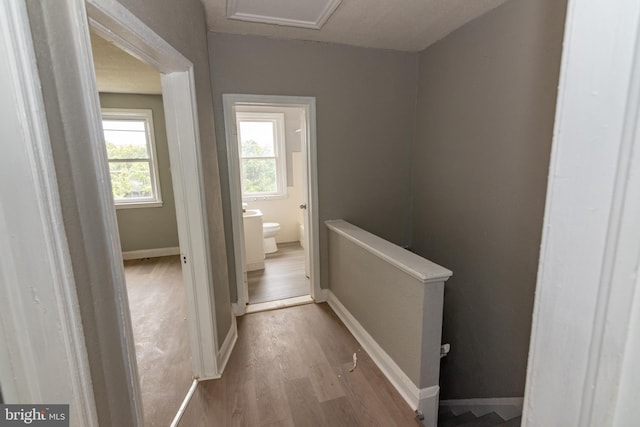 1304 N Linwood Ave, Baltimore, MD 21213 - hallway featuring wood finished floors, an upstairs landing, and attic access