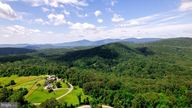 4179 Fiery Run Rd, Linden, VA 22642 - aerial view of a forest and mountains