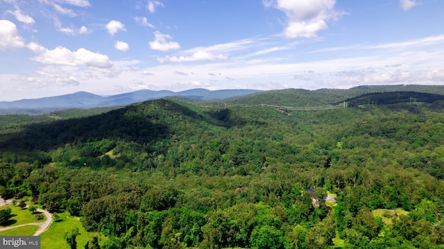 4179 Fiery Run Rd, Linden, VA 22642 - view of mountain background featuring a forest