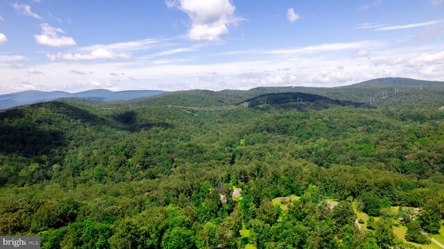 4179 Fiery Run Rd, Linden, VA 22642 - view of mountain backdrop featuring a heavily wooded area