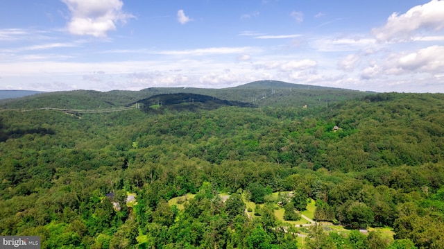 4179 Fiery Run Rd, Linden, VA 22642 - view of mountain backdrop featuring a heavily wooded area