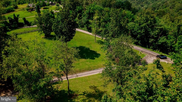 4179 Fiery Run Rd, Linden, VA 22642 - aerial view of a forest