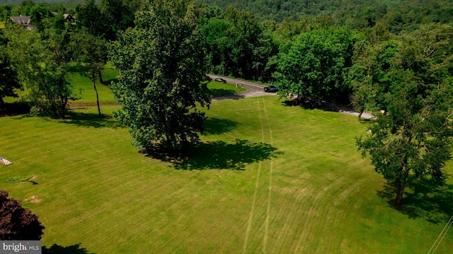 4179 Fiery Run Rd, Linden, VA 22642 - bird's eye view of a forest