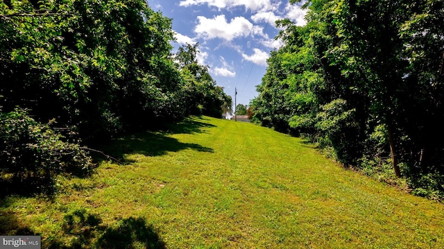 4179 Fiery Run Rd, Linden, VA 22642 - view of grassy yard
