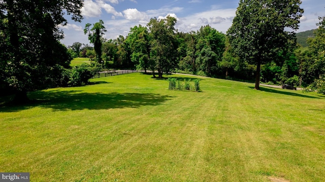 4179 Fiery Run Rd, Linden, VA 22642 - view of yard