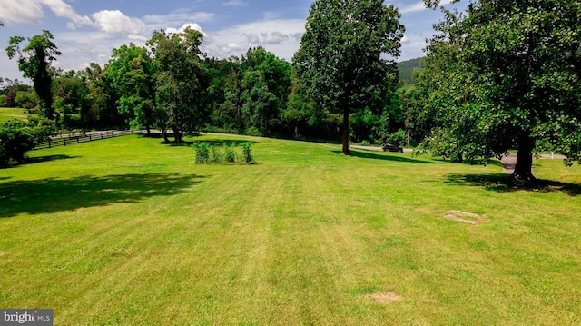 4179 Fiery Run Rd, Linden, VA 22642 - view of yard