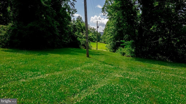 4179 Fiery Run Rd, Linden, VA 22642 - view of green lawn