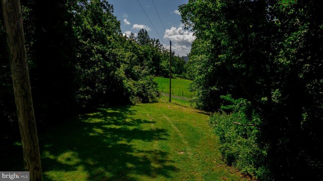 4179 Fiery Run Rd, Linden, VA 22642 - view of grassy yard