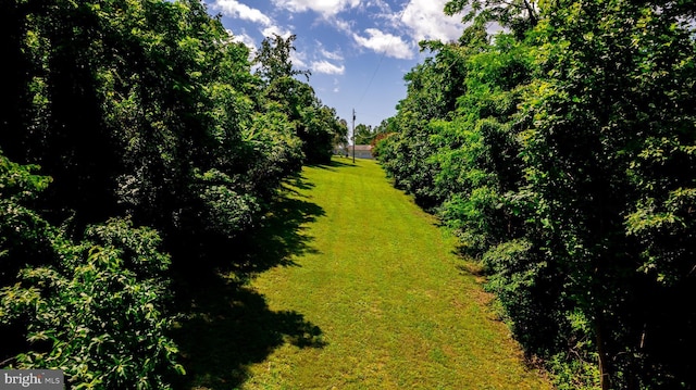 4179 Fiery Run Rd, Linden, VA 22642 - view of grassy yard