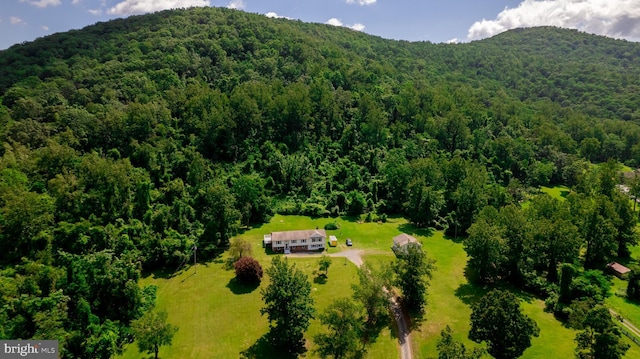4179 Fiery Run Rd, Linden, VA 22642 - bird's eye view of a heavily wooded area and a mountain backdrop