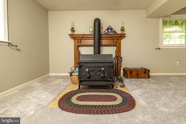 4179 Fiery Run Rd, Linden, VA 22642 - detailed view of a wood stove and carpet flooring