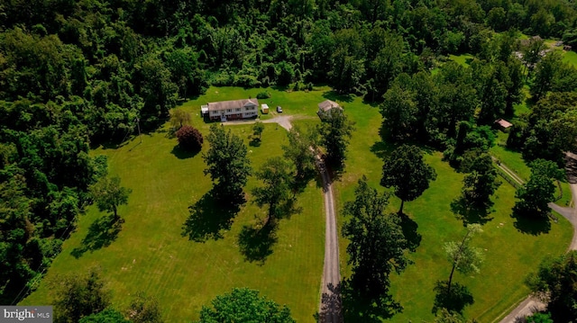 4179 Fiery Run Rd, Linden, VA 22642 - view from above of property