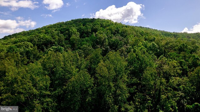 4179 Fiery Run Rd, Linden, VA 22642 - mountain view with a forest