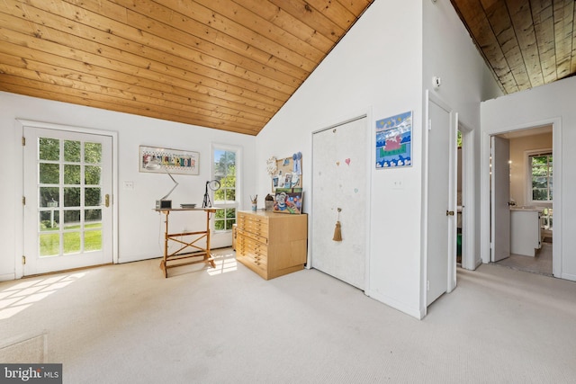 3201/2 Mansion Dr, Alexandria, VA 22302 - sitting room with carpet floors, plenty of natural light, wooden ceiling, and high vaulted ceiling
