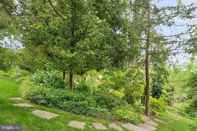 3201/2 Mansion Dr, Alexandria, VA 22302 - view of yard