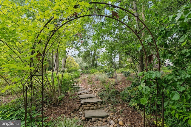 3201/2 Mansion Dr, Alexandria, VA 22302 - view of yard