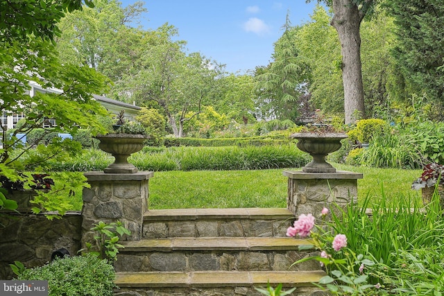 3201/2 Mansion Dr, Alexandria, VA 22302 - view of yard