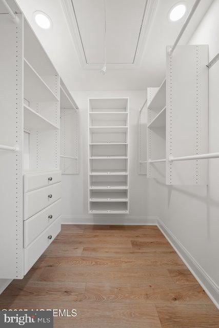 1 Capstan Rd, Waretown, NJ 08758 - spacious closet with attic access and wood finished floors