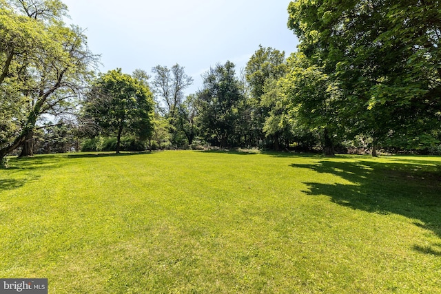 2462 Route Unit 412, Hellertown, PA 18055 - view of green lawn