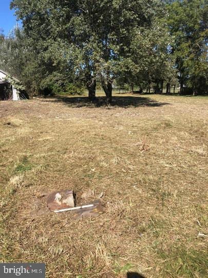 27980 Ruritan Rd, Denton, MD 21629 - view of yard