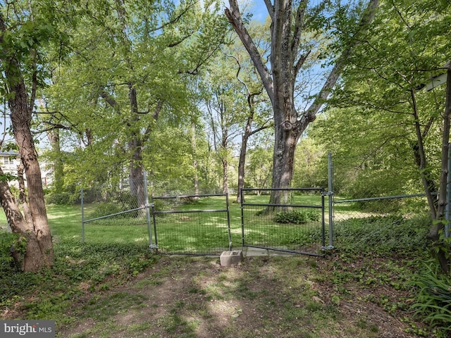 13310 Mockingbird Ln, Bowie, MD 20720 - view of yard featuring a gate