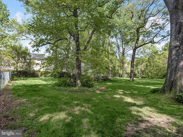 13310 Mockingbird Ln, Bowie, MD 20720 - view of yard