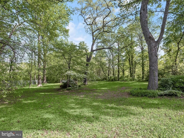 13310 Mockingbird Ln, Bowie, MD 20720 - view of grassy yard