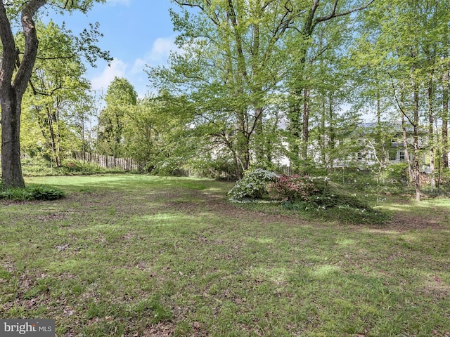 13310 Mockingbird Ln, Bowie, MD 20720 - view of yard