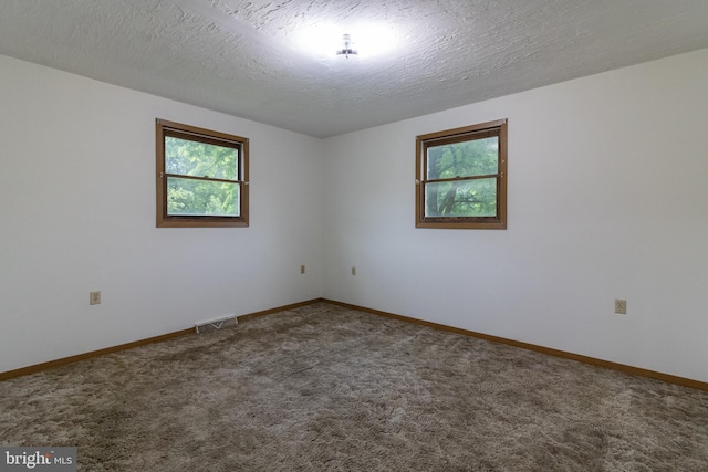 25 Pheasant Run, York Haven, PA 17370 - carpeted spare room with plenty of natural light and a textured ceiling